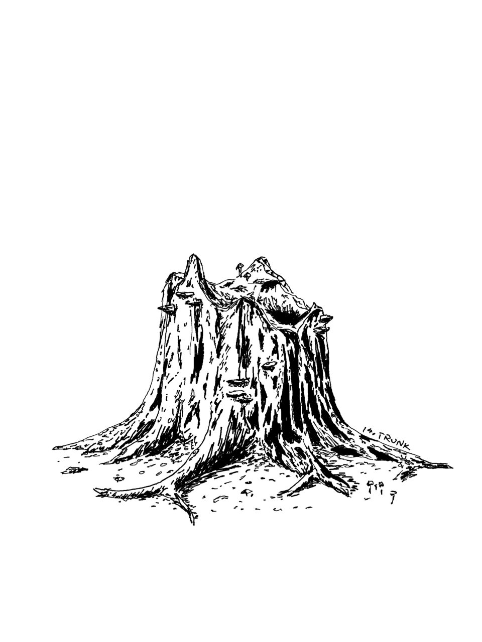 A tree stump with prominent roots and various mushrooms growing on and around it